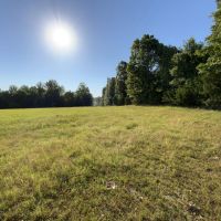 80 - Acres with Sorghum Wheat Base Tillable Clay Co Rector AR images 3
