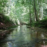 Pulaski County Hunting and Tillable Land images 3