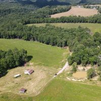 Pulaski County Hunting and Tillable Land images 4
