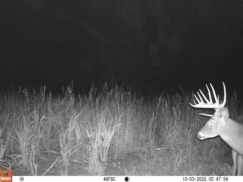 Coldwater 229.5 featured image