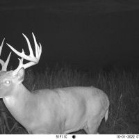 Coldwater 229.5 images 2