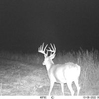 Coldwater 229.5 images 3