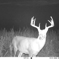 Coldwater 229.5 images 4