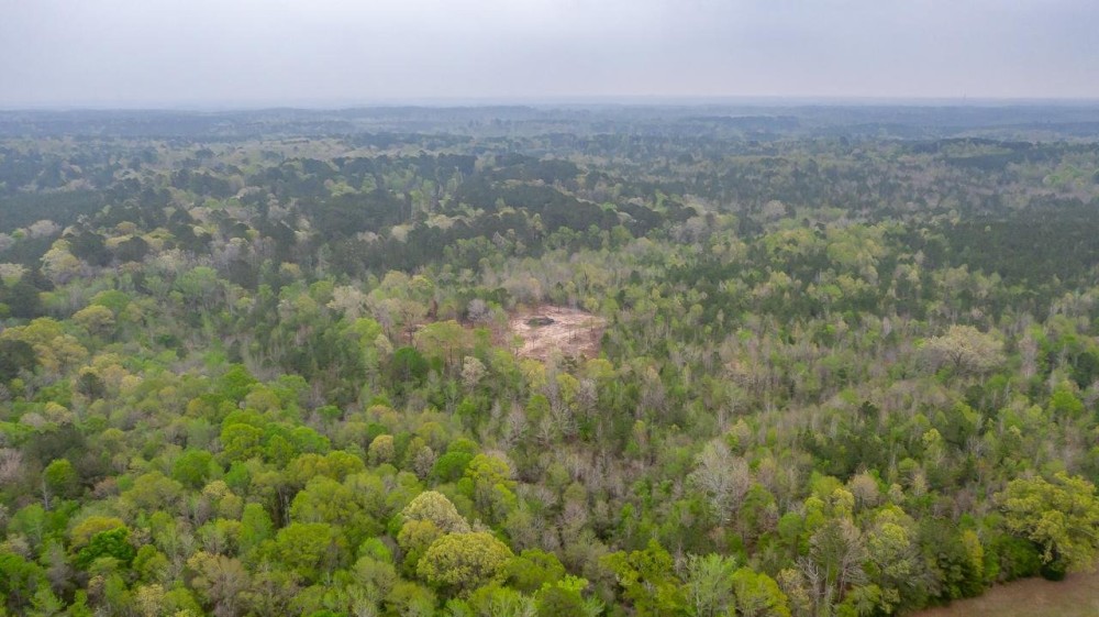 95 Acres Land for Sale Lincoln Parish LA featured image