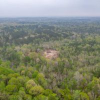 95 Acres Land for Sale Lincoln Parish LA