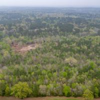 95 Acres Land for Sale Lincoln Parish LA images 3