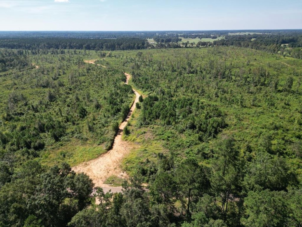 57 - Acres for Sale in Southwest Mississippi featured image