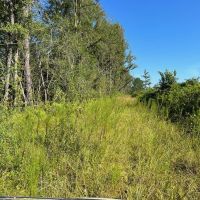57 - Acres for Sale in Southwest Mississippi images 3