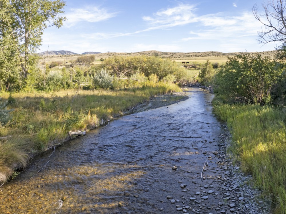 Deep Creek Wildlife Sanctuary featured image