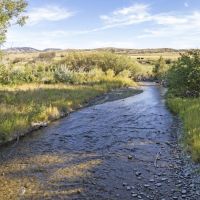 Deep Creek Wildlife Sanctuary