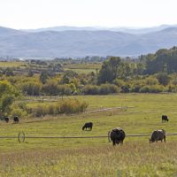 Deep Creek Wildlife Sanctuary images 4