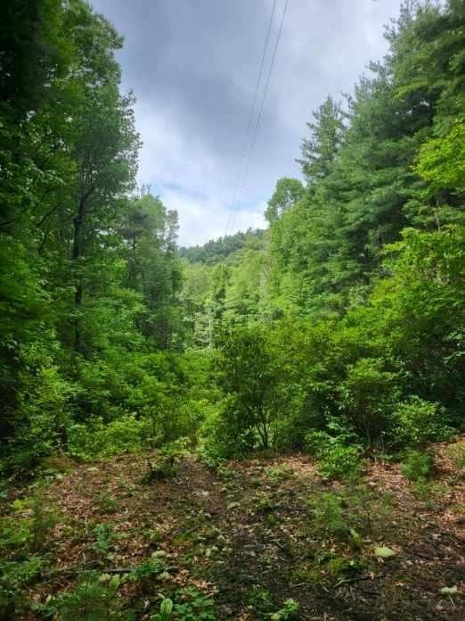 5.43 - Ac At 4 100 Cashiers Glenville North Carolina featured image