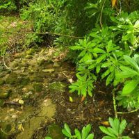 5.43 - Ac At 4 100 Cashiers Glenville North Carolina images 3