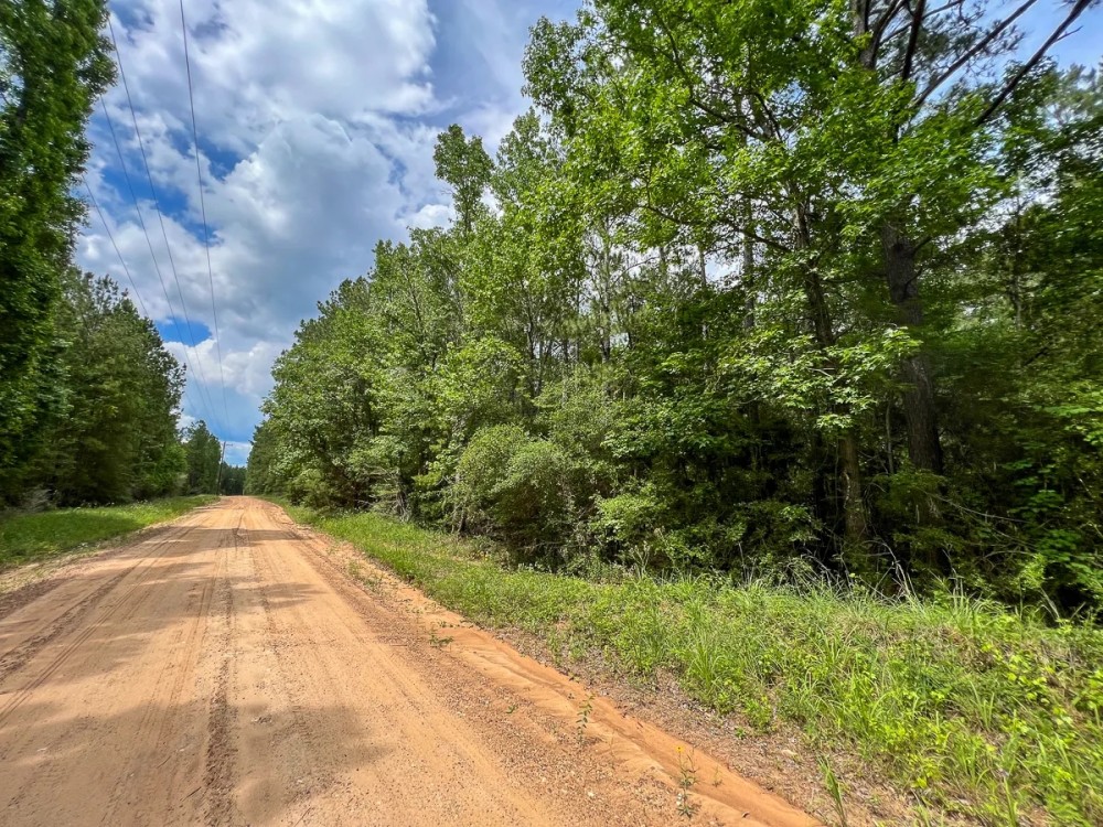 10 Acres T-14B Hickman Rd. featured image