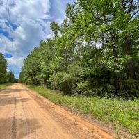 10 Acres T-14B Hickman Rd.