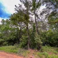 10 Acres T-14B Hickman Rd. images 2