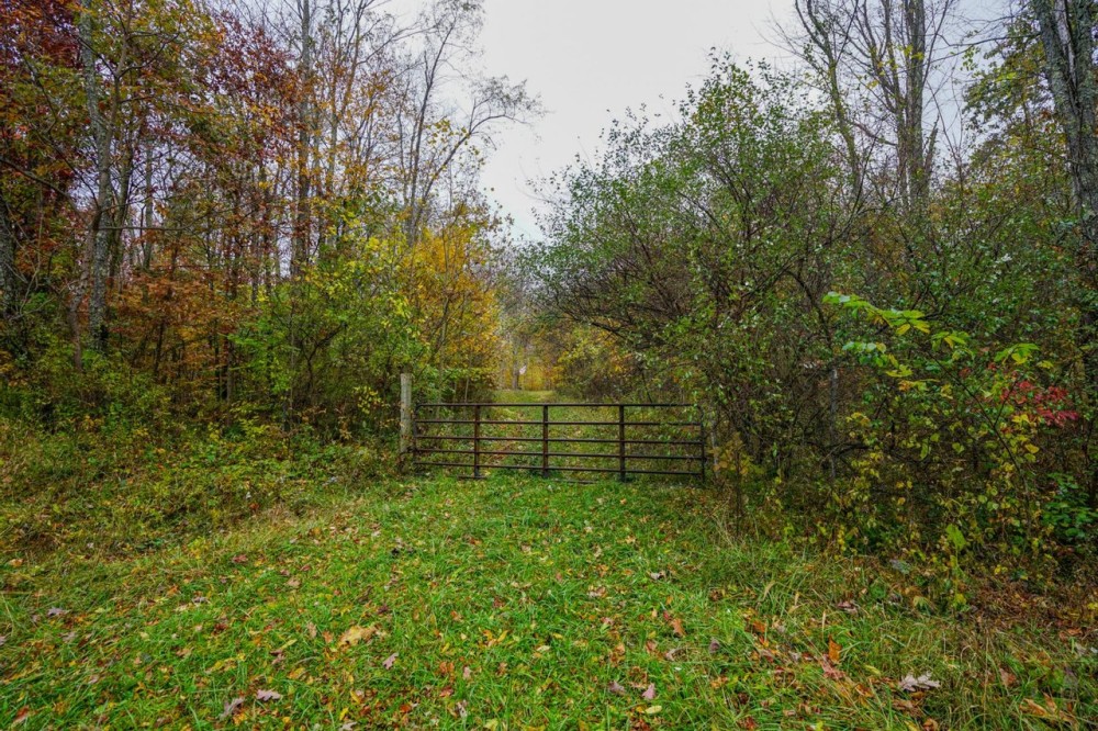 Brushy Hill Rd - 14 acres - Belmont County featured image