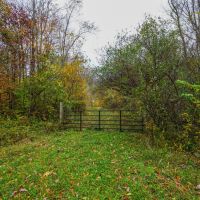 Brushy Hill Rd - 14 acres - Belmont County