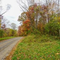 Brushy Hill Rd - 14 acres - Belmont County images 2