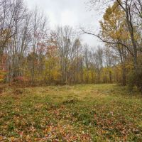 Brushy Hill Rd - 14 acres - Belmont County images 4