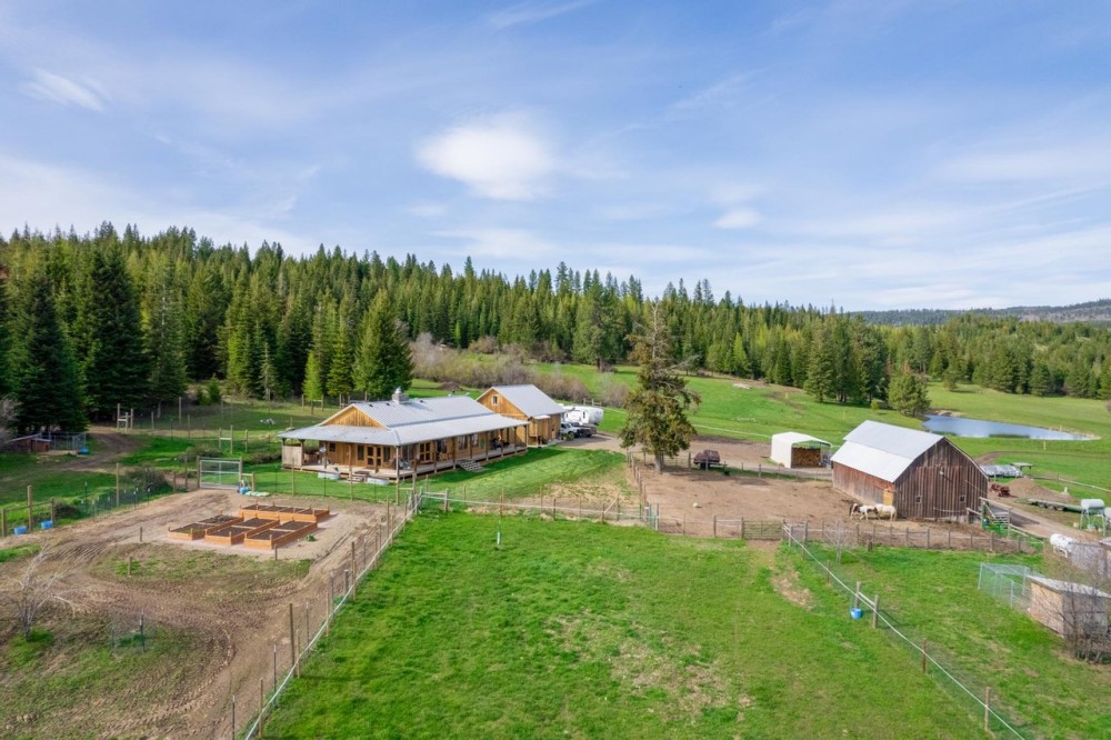 Shy Mountain Ranch featured image