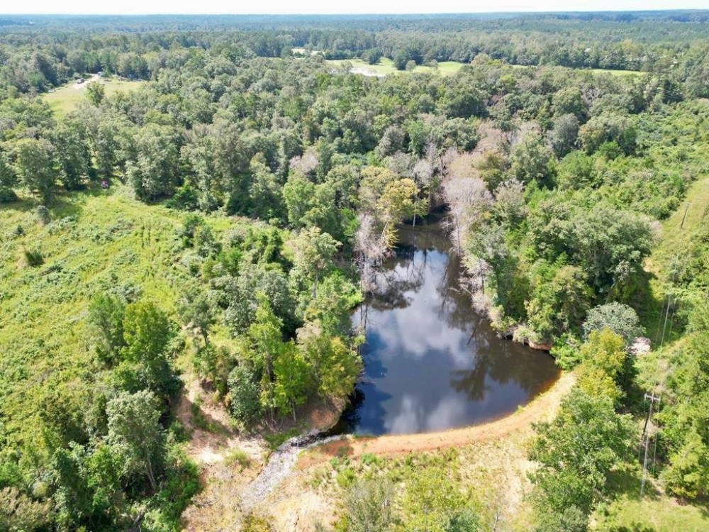 32 Acres of Land for Sale w 35 Deep Spring Fed Lake SW MS featured image