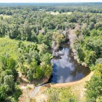 32 Acres of Land for Sale w 35 Deep Spring Fed Lake SW MS