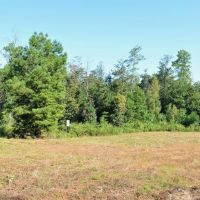 32 Acres of Land for Sale w 35 Deep Spring Fed Lake SW MS images 2