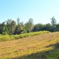32 Acres of Land for Sale w 35 Deep Spring Fed Lake SW MS images 3