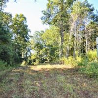 32 Acres of Land for Sale w 35 Deep Spring Fed Lake SW MS images 4