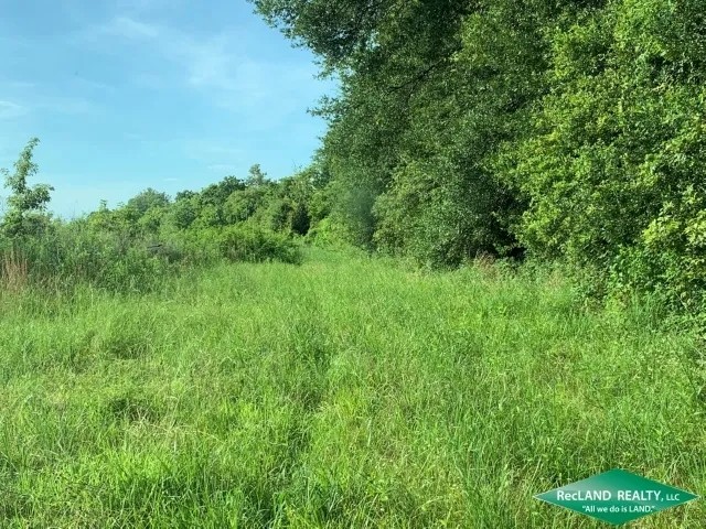 48 ac - CRP Income Hunting with Home Site Potential featured image