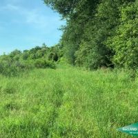 48 ac - CRP Income Hunting with Home Site Potential