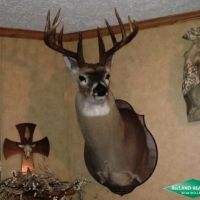 48 ac - CRP Income Hunting with Home Site Potential images 2