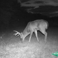 48 ac - CRP Income Hunting with Home Site Potential images 3