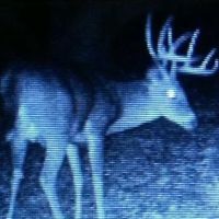 Kottcamp Rd - 79 acres - Vinton County images 2