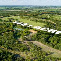 Recreational Land for Sale Near Austin TX in Bastrop County images 2