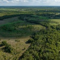 Recreational Land for Sale Near Austin TX in Bastrop County images 3