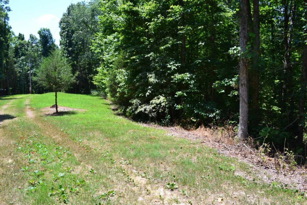 19.75 Acres - just minutes from the Buffalo National River Great place for a Cabin featured image