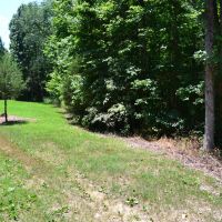 19.75 Acres - just minutes from the Buffalo National River Great place for a Cabin