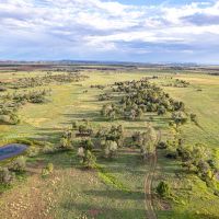 Red Dog Ranch images 3