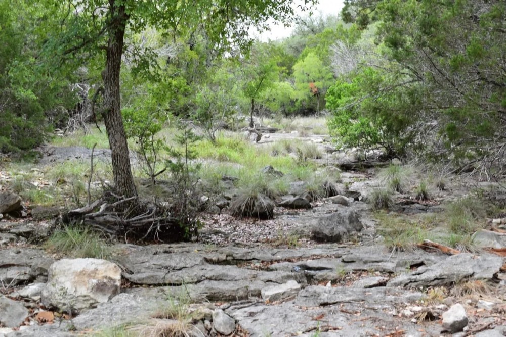 Hunting Land for Sale in Lampasas County featured image