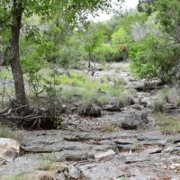 Hunting Land for Sale in Lampasas County