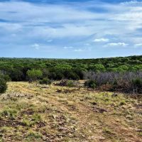 Hunting Land for Sale in Lampasas County images 3
