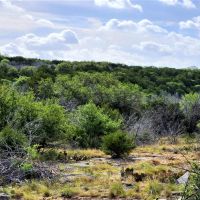 Hunting Land for Sale in Lampasas County images 4