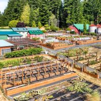 L abri Farms images 3