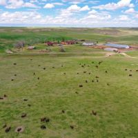 Rocky Hollow Buffalo Company