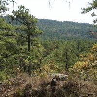 Buck Creek Recreational Hunting Ranch Moyers Pushmataha County OK 517 AC images 1