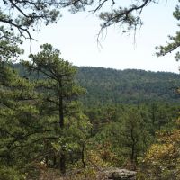 Buck Creek Recreational Hunting Ranch Moyers Pushmataha County OK 517 AC images 3