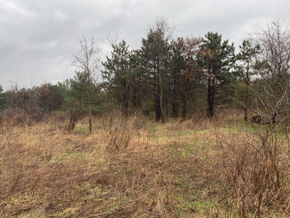 Mt. East Rd. Fayette County - 78 Acres featured image