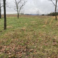 Mt. East Rd. Fayette County - 78 Acres images 2